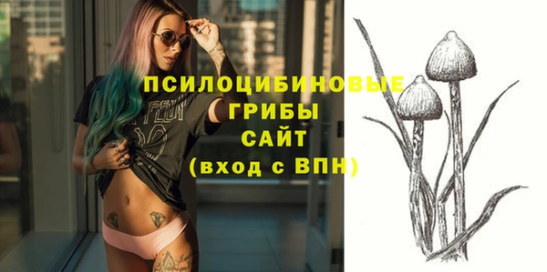 СК Арсеньев