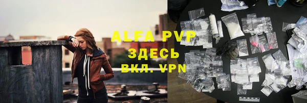 СК Арсеньев